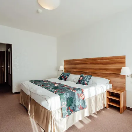 Velka Fatra Kupele Hotel 4*